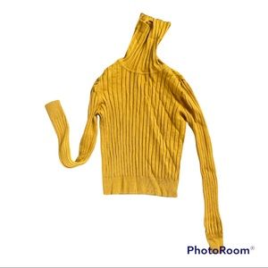 Mustard crop turtle knock